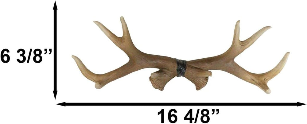 Ebros Gift Rustic Hunter's 10 Point Stag Deer Antlers Rack Wall Plaque 17...