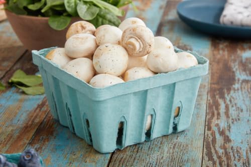 Pactiv 1 Quart Sized Garden Party Berigard Berry Basket Molded Fiber Green | ...