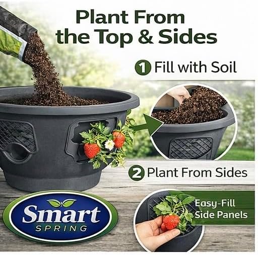 Ultimate Hanging Baskets - Strawberry, Tomato, Flower, and Herb Outdoor Plant...