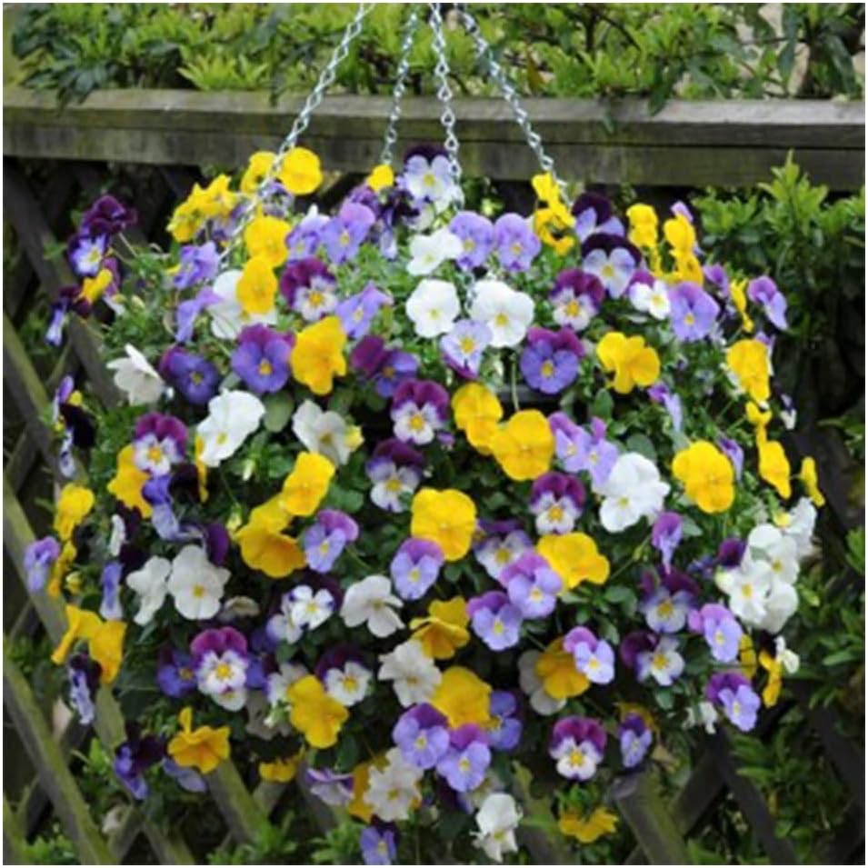 Ultimate Hanging Baskets - Strawberry, Tomato, Flower, and Herb Outdoor Plant...