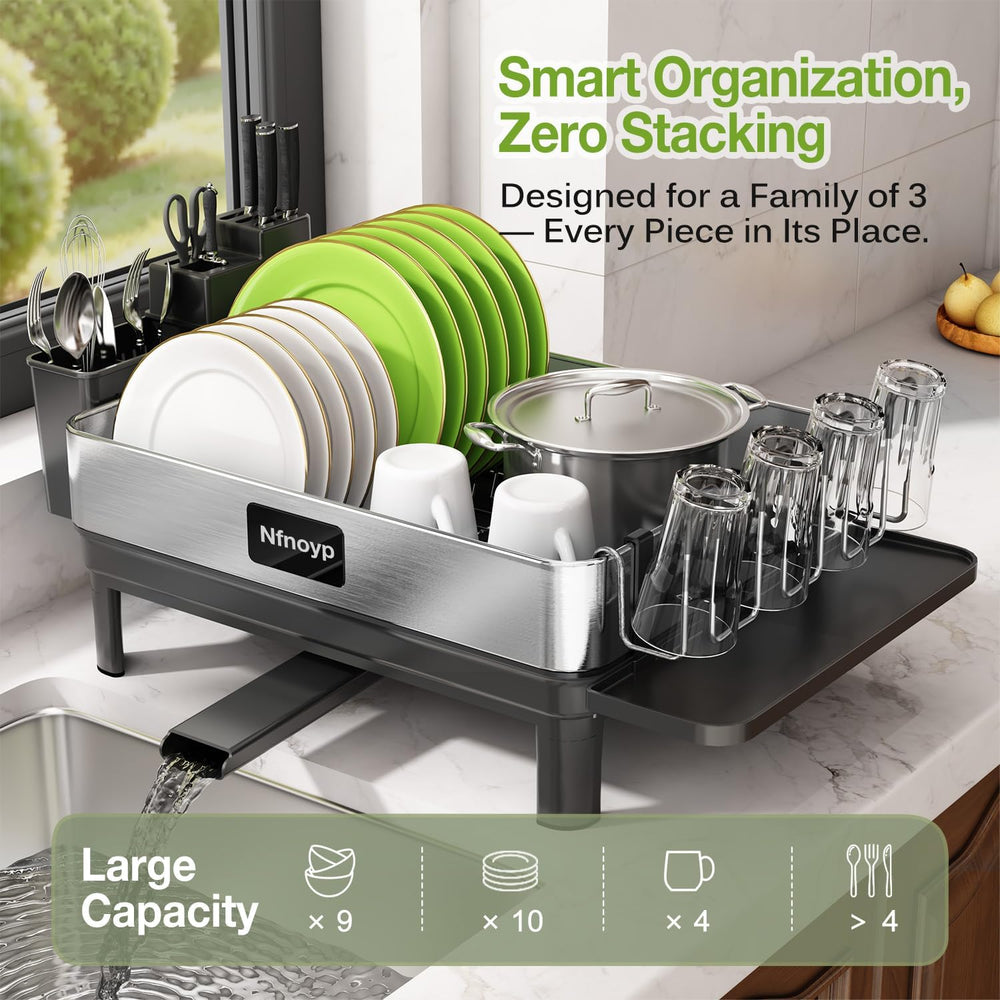 304 Stainless Steel Dish Drying Rack for Kitchen Counter, Black