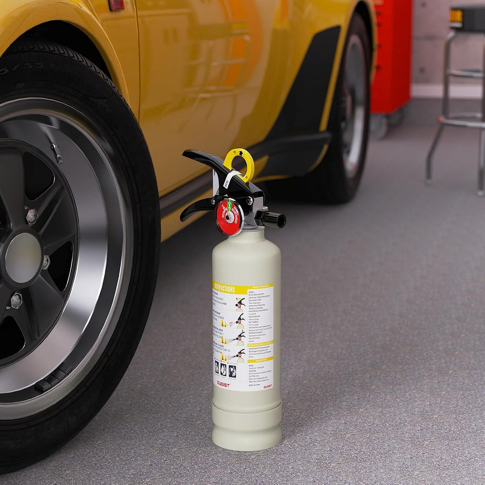 Ougist ABC Dry Chemical Fire Extinguisher, 2.5 lb Agent, 1-A:10-B:C