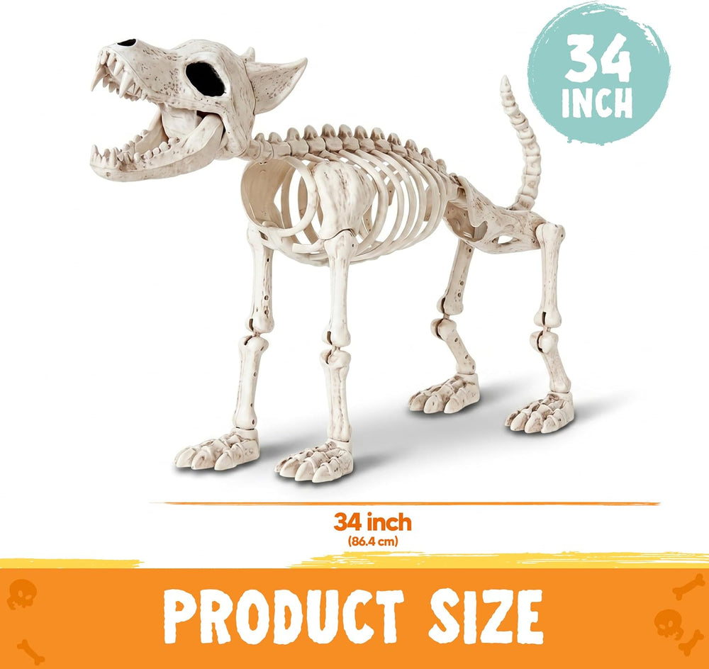 JOYIN 34” Wolf Skeleton Halloween Decoration, Plastic Animal Skeleton with Mo...