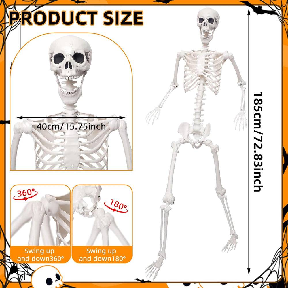 Lodou 5.9Ft/180cm Life Size Giant Skeleton Poseable Plastic Skeleton for Hall...