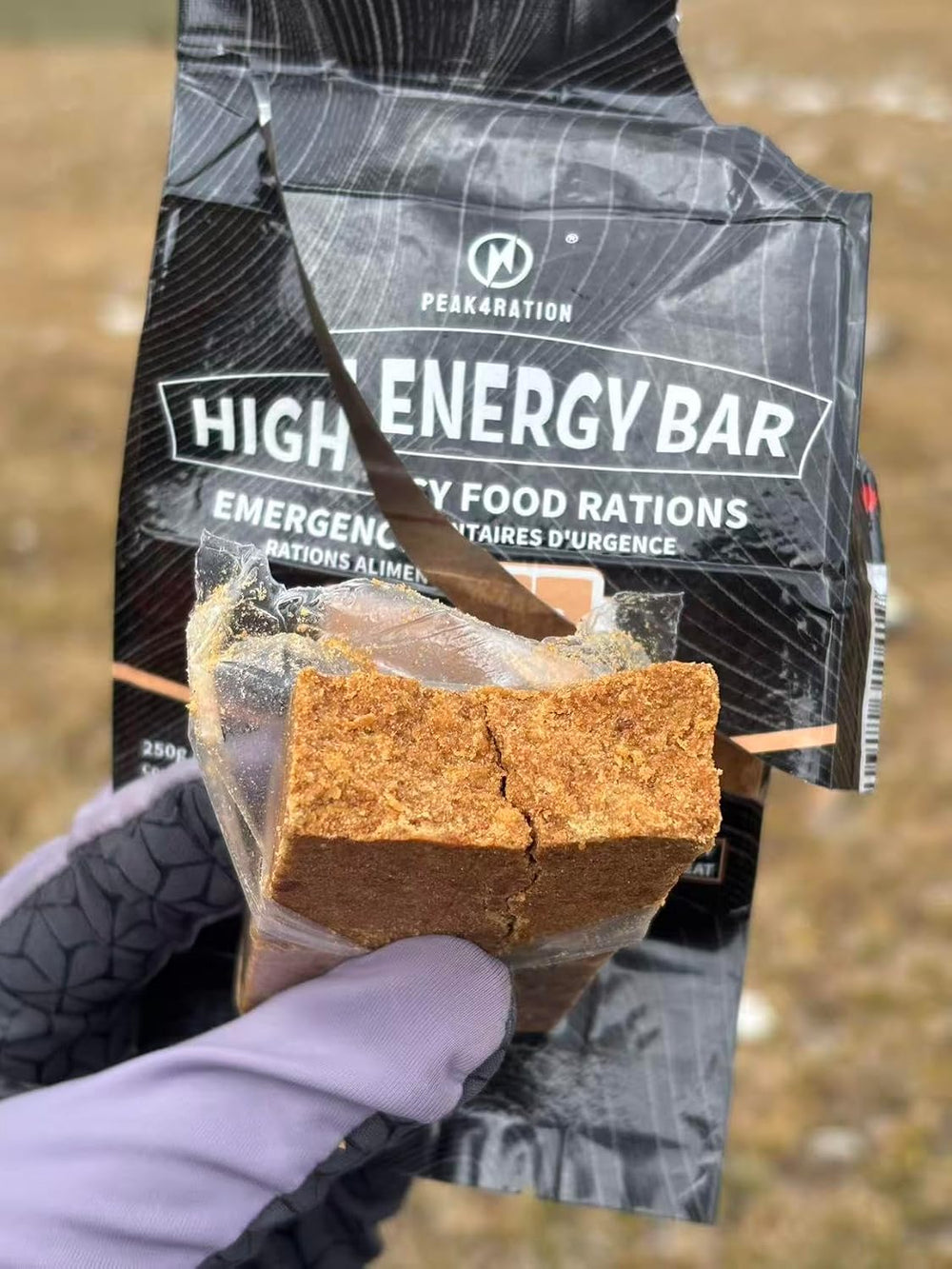 PEAK4RATION High Energy Bar | Compact Compressed Food Bar - Caramel Cinnamon ...