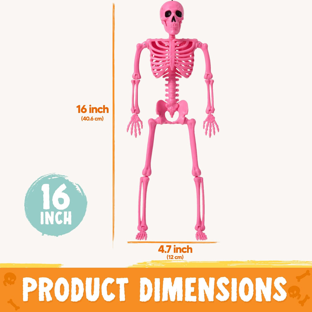 JOYIN 12 PCS Posable Halloween Skeleton Decor 16 Inches, Full Body Posable Jo...