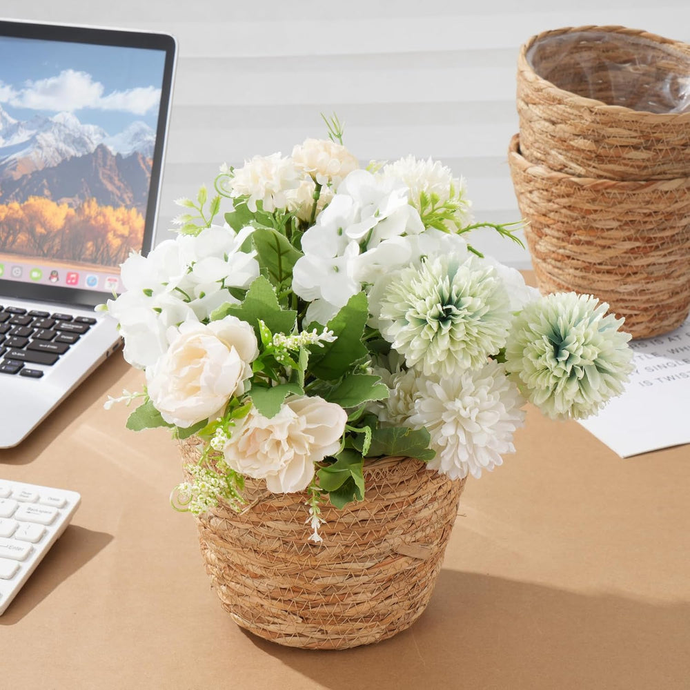 10 PCS Seagrass Plant Baskets with Plastic Liners, Woven Planter Baskets for ...