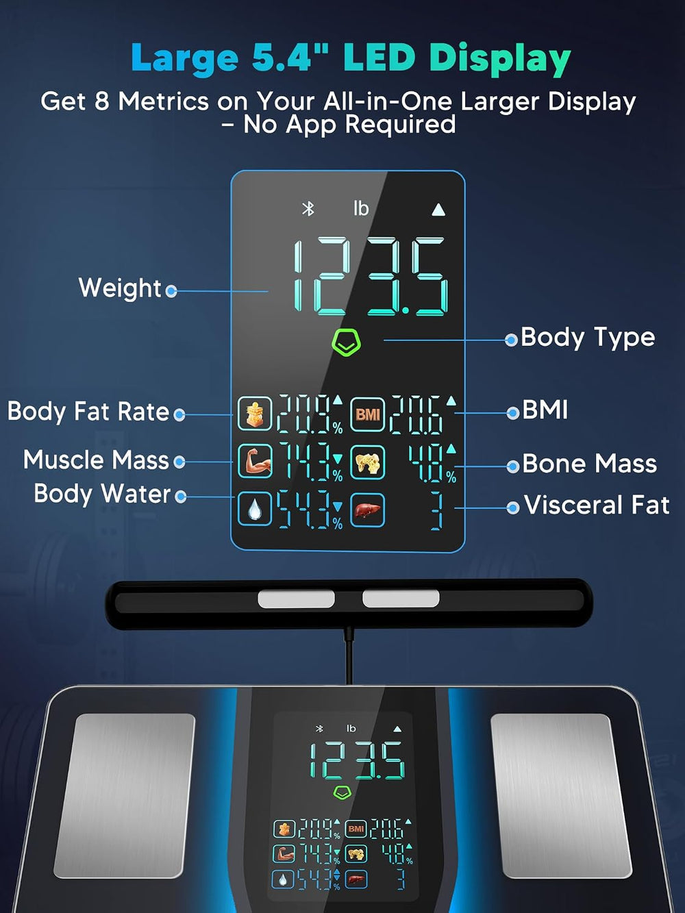 LOFTILLA Scale for Body Weight, BMI, Body Fat, Muscle Mass, 5.4" Display