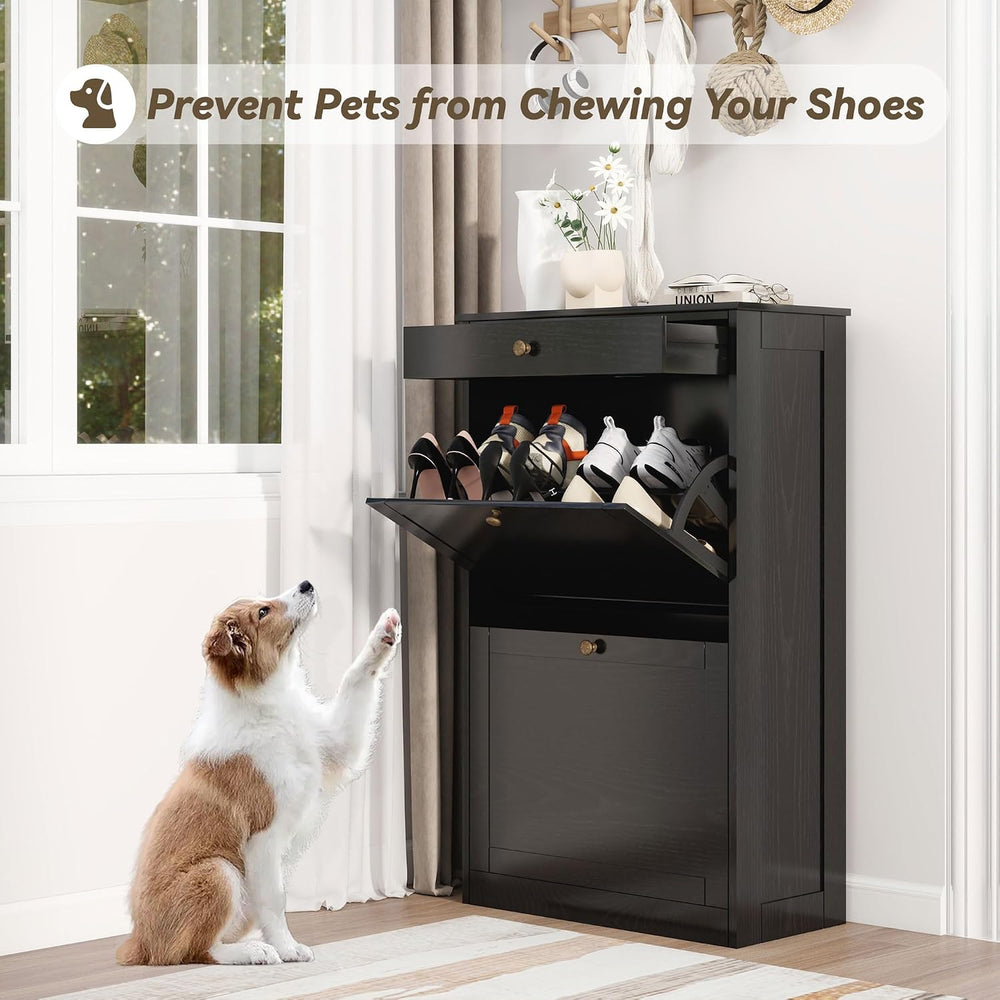 Shoe Storage Cabinet with 2 Flip Drawers, Shoe Cabinet Organizer, Black