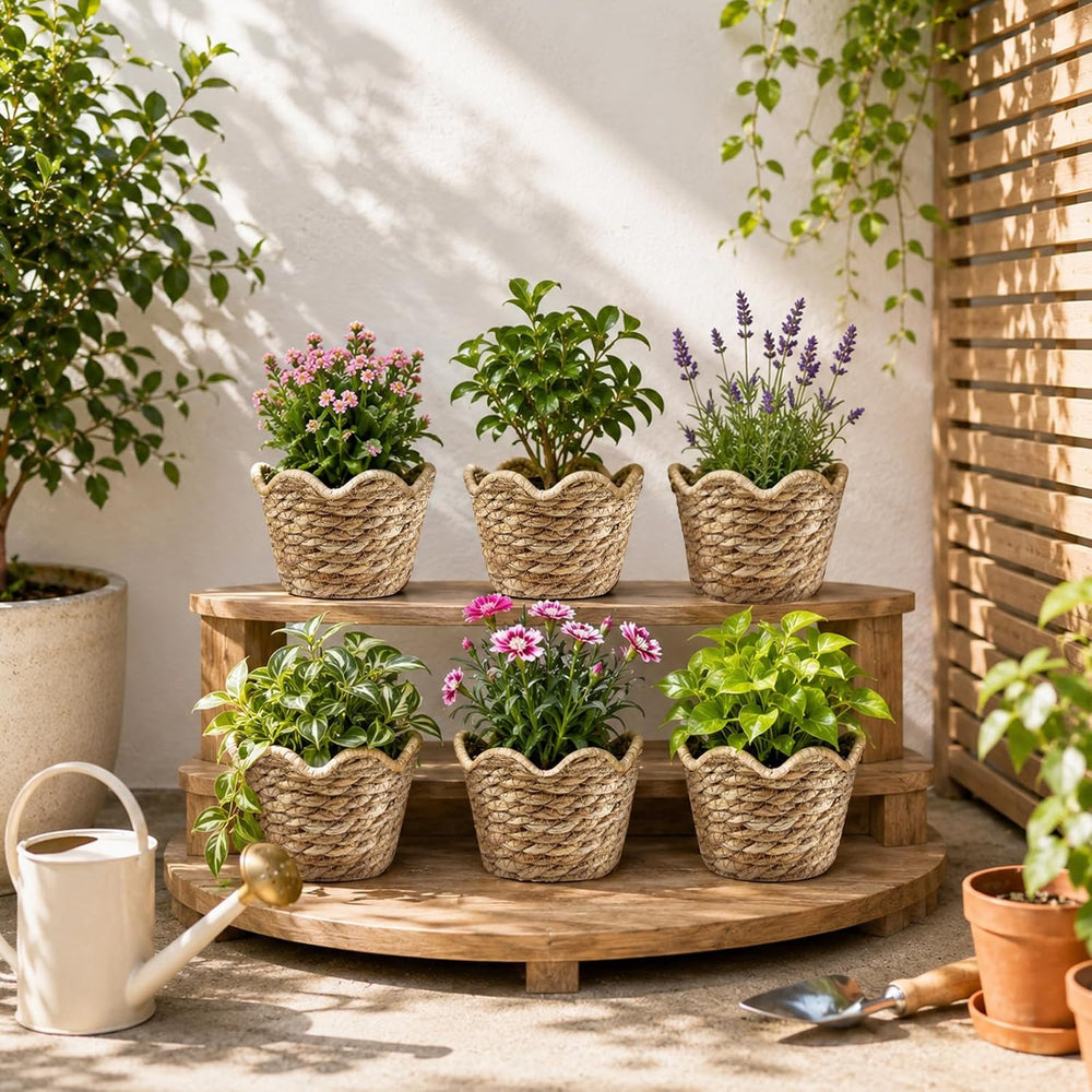 3 Pcs Large Seagrass Woven Baskets with Plastic Liner