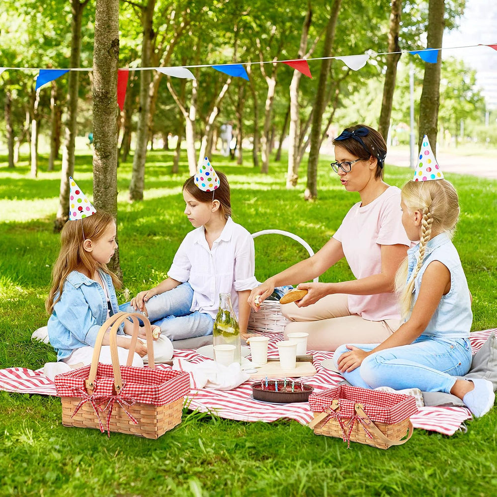 Patelai 2 Pcs Picnic Basket Set Double Handles, Checkered, Red and White