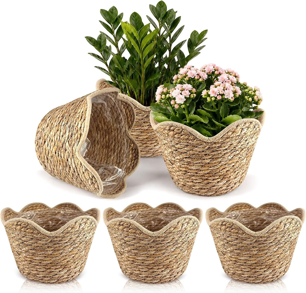 3 Pcs Large Seagrass Woven Baskets with Plastic Liner