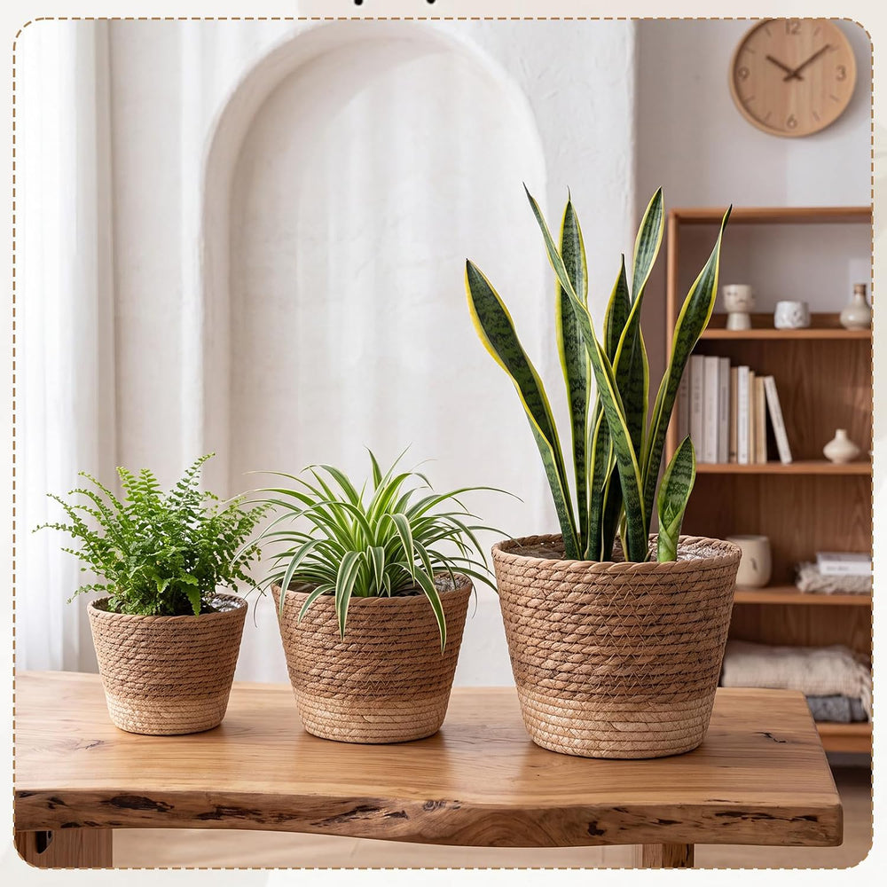 AceOrbit 12 Pcs Wicker Plant Basket Bulk with Liners,Mixed,Minimalist