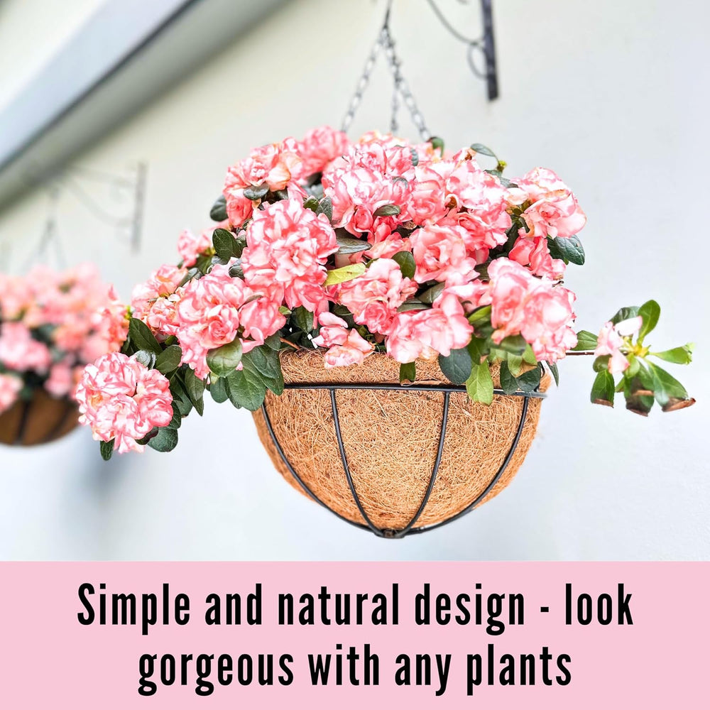 LaLaGreen Large Hanging Baskets (16 in, 6 Pack) Black Metal Coco Liner Pots