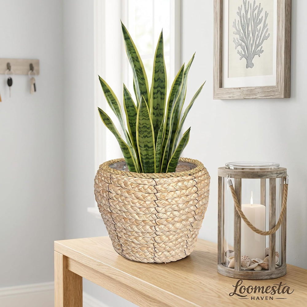 6 Inch Seagrass Planter Basket, Handwoven with Metal Frame & Liner