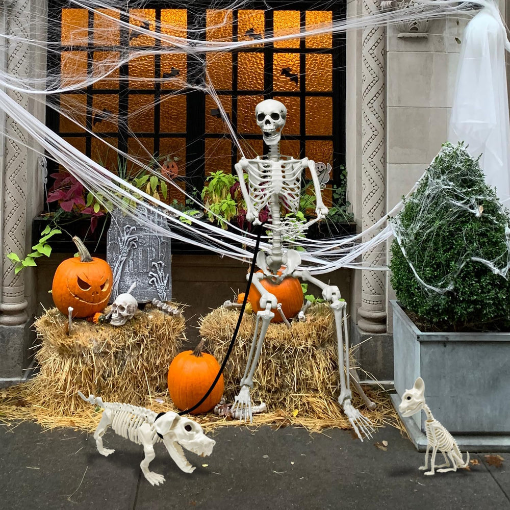 5.4Ft Posable Halloween Skeleton with Dog Cat Skeleton for Halloween Decor