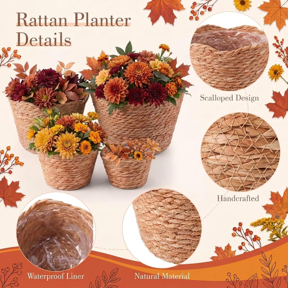 4 Pack Fall Scalloped Wicker Plant Baskets Woven Basket Planter, Wavy