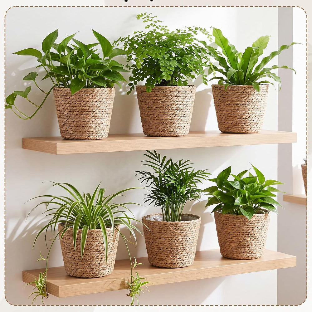 AceOrbit 6 Pcs Wicker Plant Basket Bulk with Liners, Medium, Rustic
