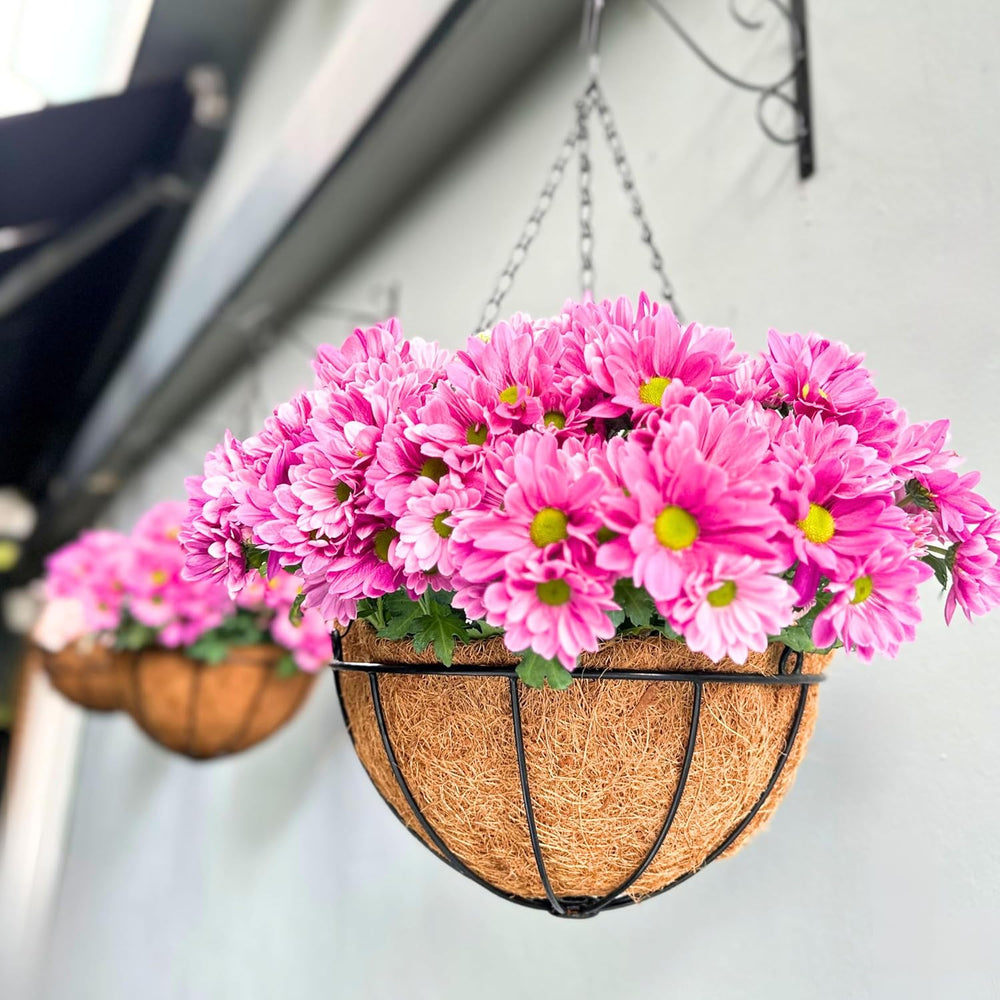 LaLaGreen 14" (8 Pack, Round) Coco Liners for Hanging Basket – Medium Co...