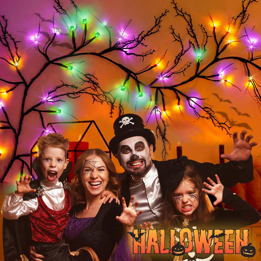 9Ft 72 LED Halloween Willow Vine Twig Garland with Lights - 8 Modes & Tim...