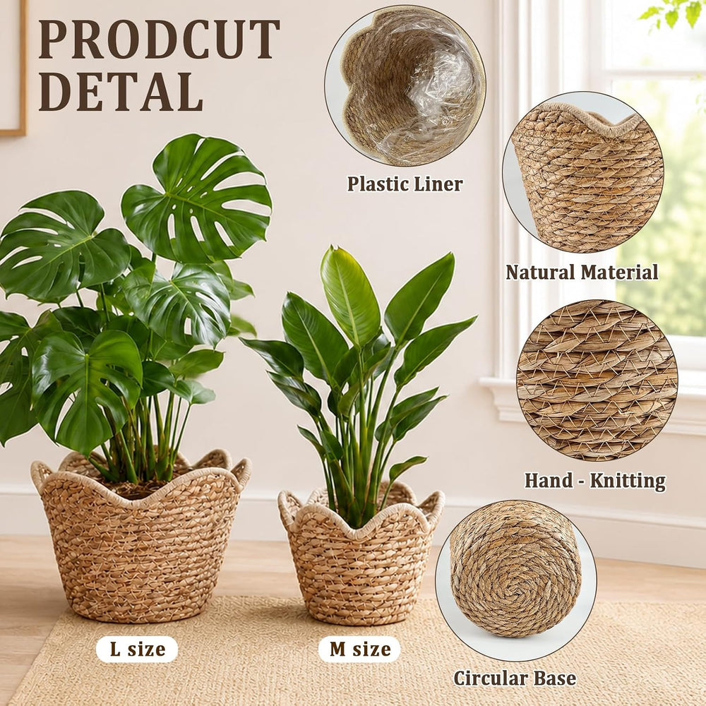 3 Pcs Large Seagrass Woven Baskets with Plastic Liner