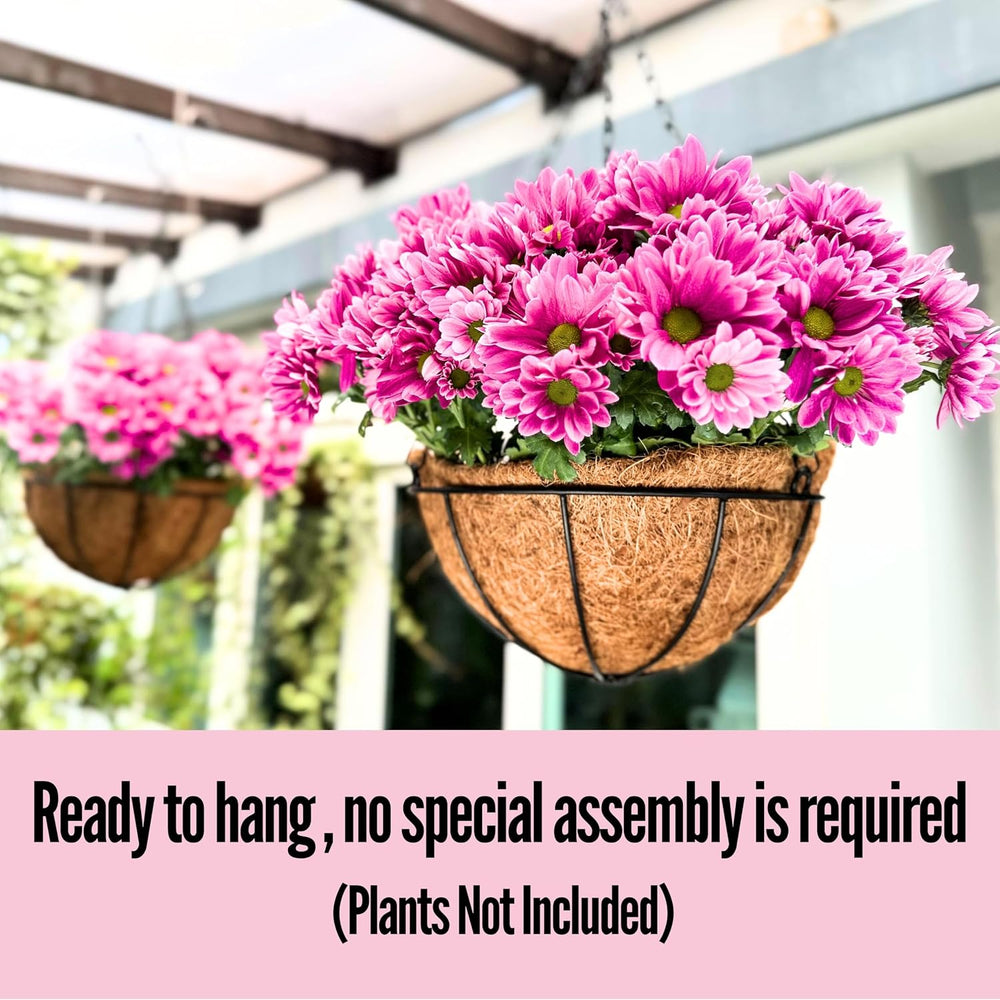 LaLaGreen Large Hanging Baskets (16 in, 6 Pack) Black Metal Coco Liner Pots