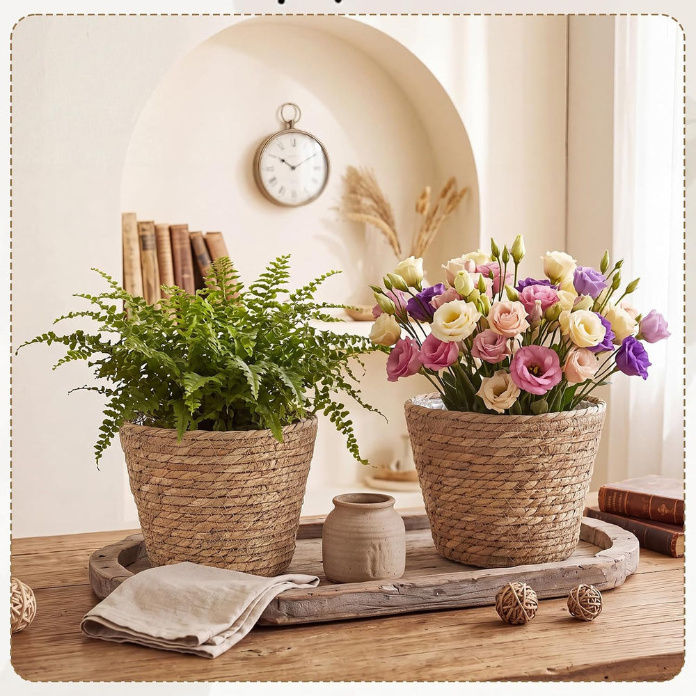 AceOrbit 6 Pcs Wicker Plant Basket Bulk with Liners, Medium, Rustic