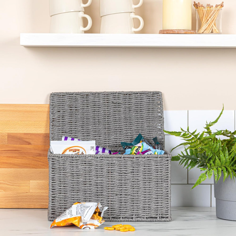 Household Essentials Small Handwoven Paper Rope Wicker Basket with Lid, Grey