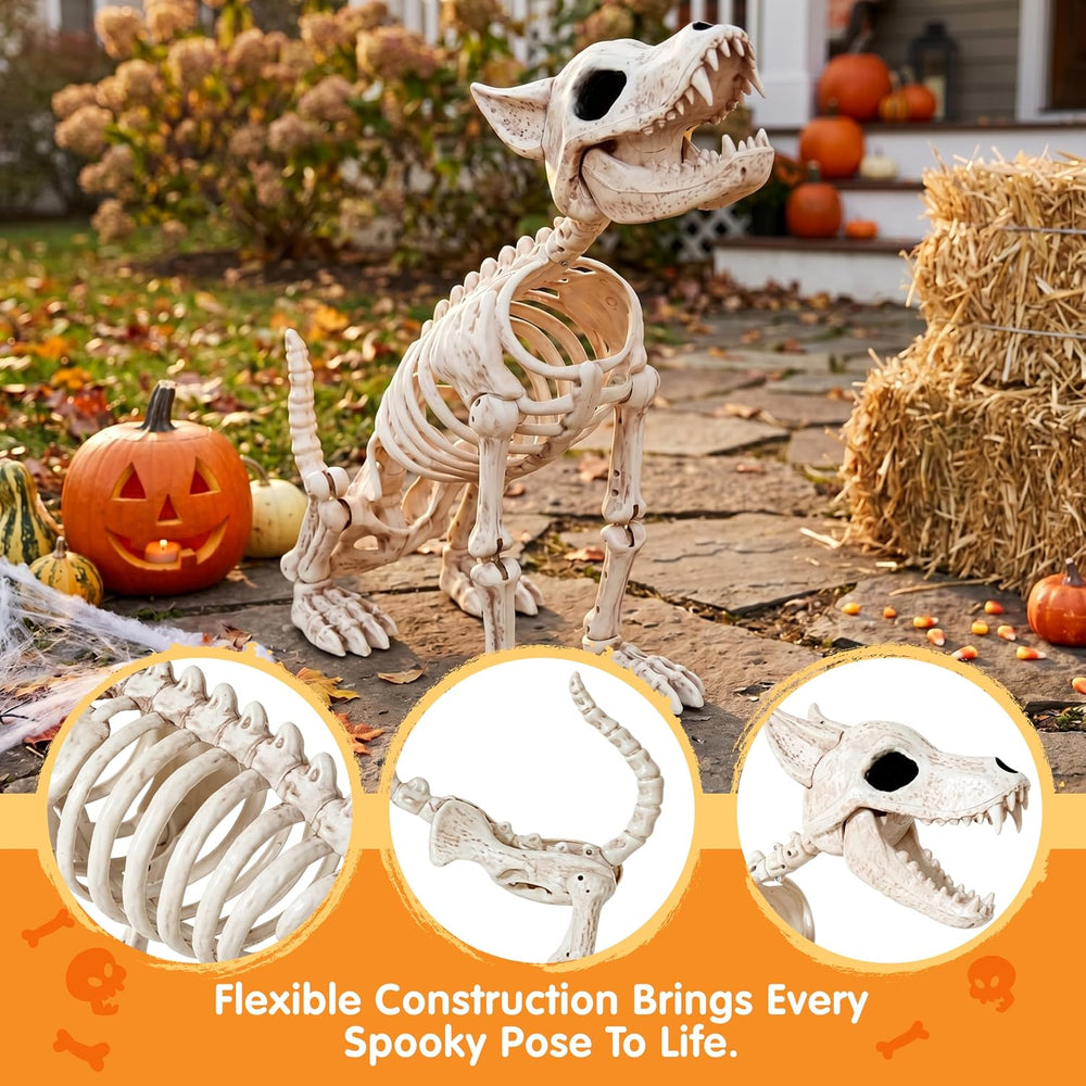 JOYIN 34” Wolf Skeleton Halloween Decoration, Plastic Animal Skeleton with Mo...