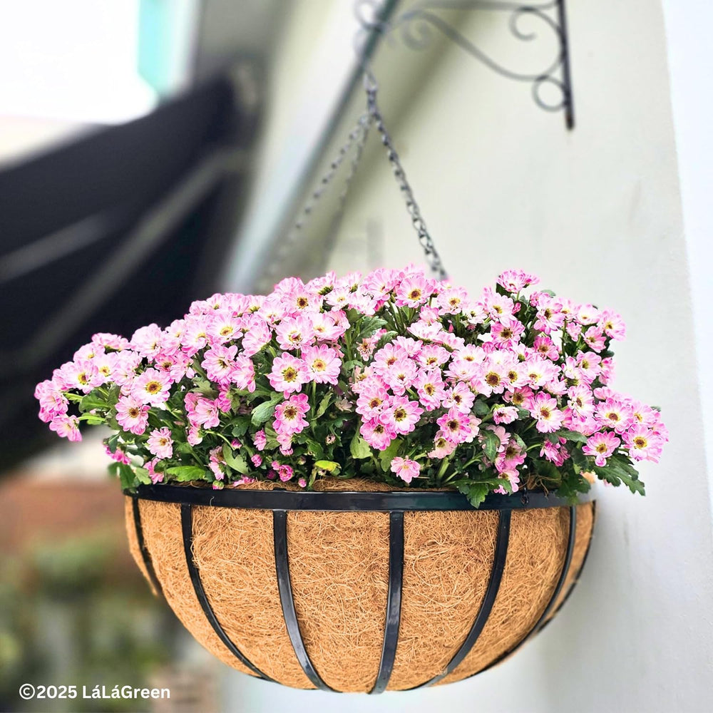 LaLaGreen Hanging Baskets (18 in, 2 Pack) Black Iron Flower Pot Holder