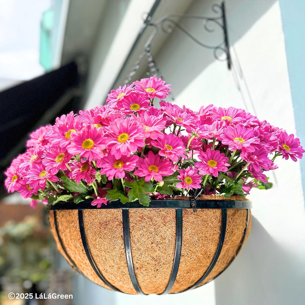 LaLaGreen 20" (4 Pack, Round) Coco Liners for Hanging Basket – Large Coi...