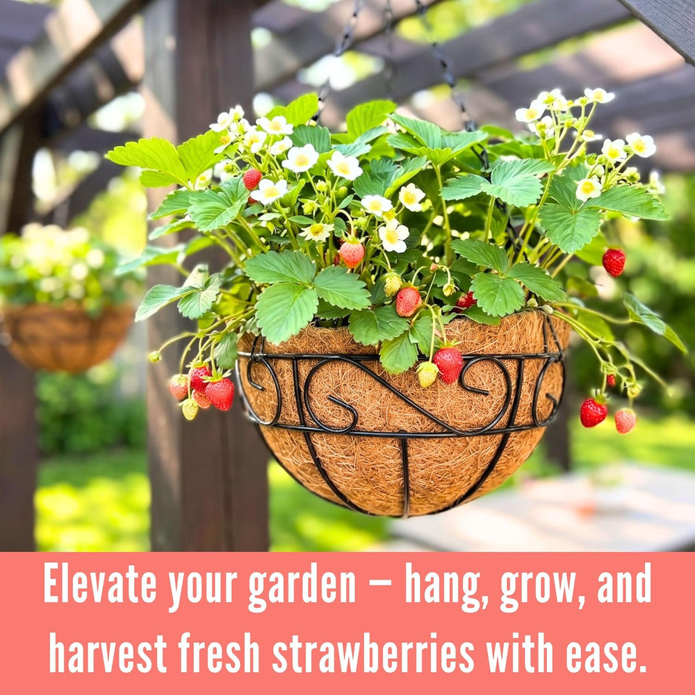 LaLaGreen Patio Hanging Planter (18 in, 2 Pack) Black Metal Wire Baskets