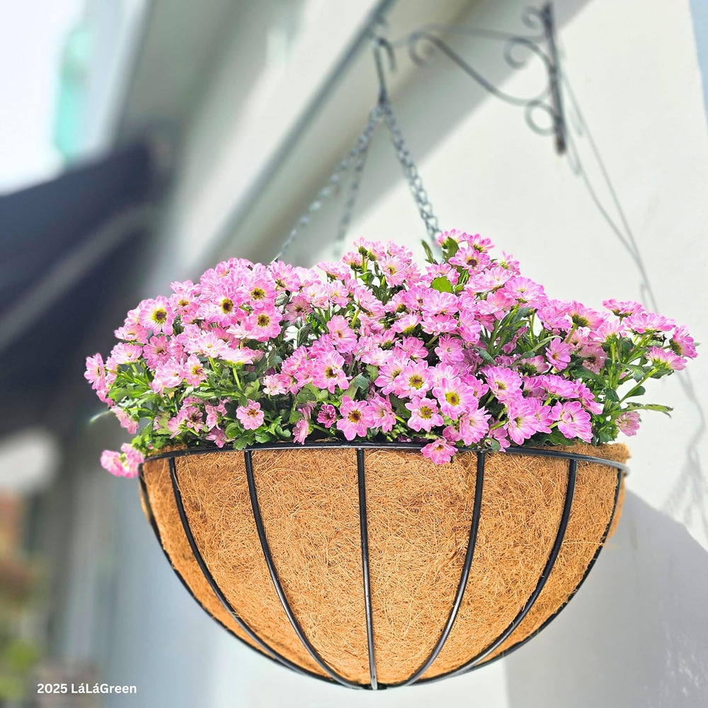 LaLaGreen 20" (4 Pack, Round) Coco Liners for Hanging Basket – Large Coi...