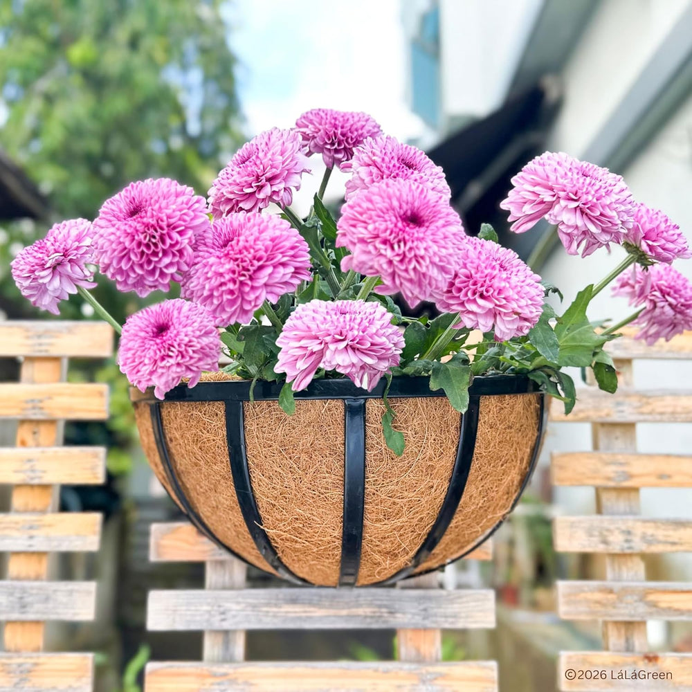 LaLaGreen 16" (4 Pack, Half Round) Coco Liners for Wall Planter Outdoor ...