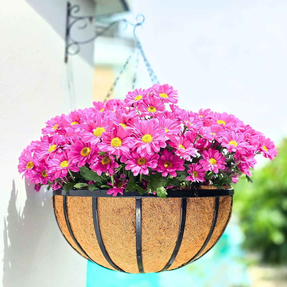 LaLaGreen Hanging Baskets (18 in, 2 Pack) Black Iron Flower Pot Holder
