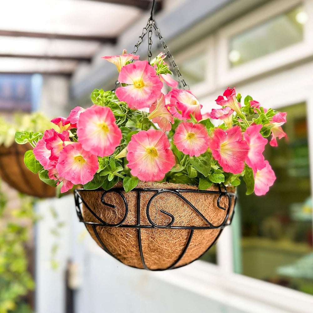 LaLaGreen 14" (8 Pack, Round) Coco Liners for Hanging Basket – Medium Co...