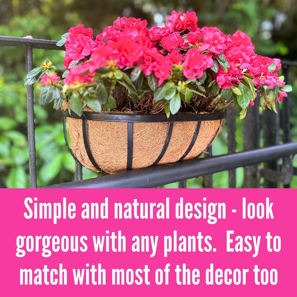 LaLaGreen Outdoor Wall Planter (16 in, 2 Pack) Black Window Flower Box