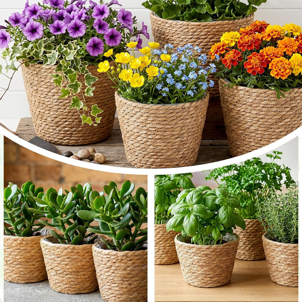10PCS Seagrass Plant Baskets with Plastic Liners, Woven Wicker Planter Basket...