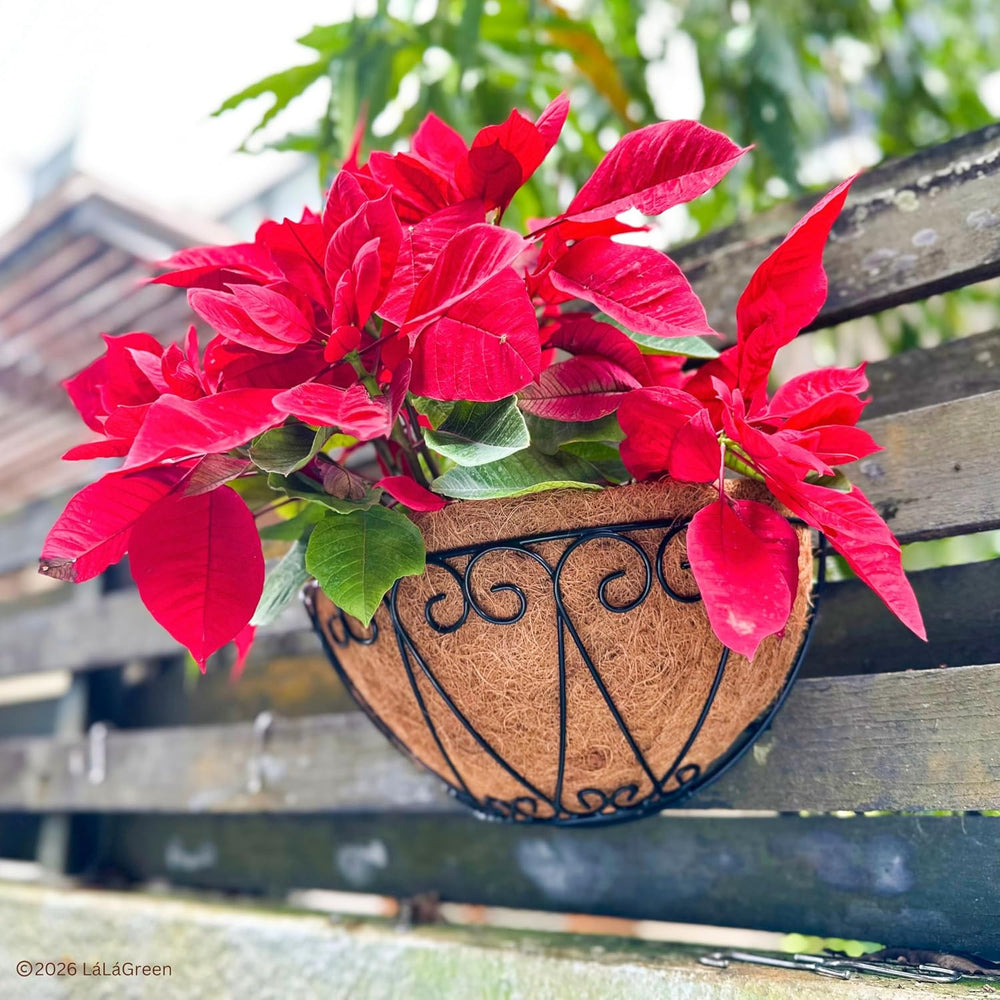 LaLaGreen 16" (4 Pack, Half Round) Coco Liners for Wall Planter Outdoor ...