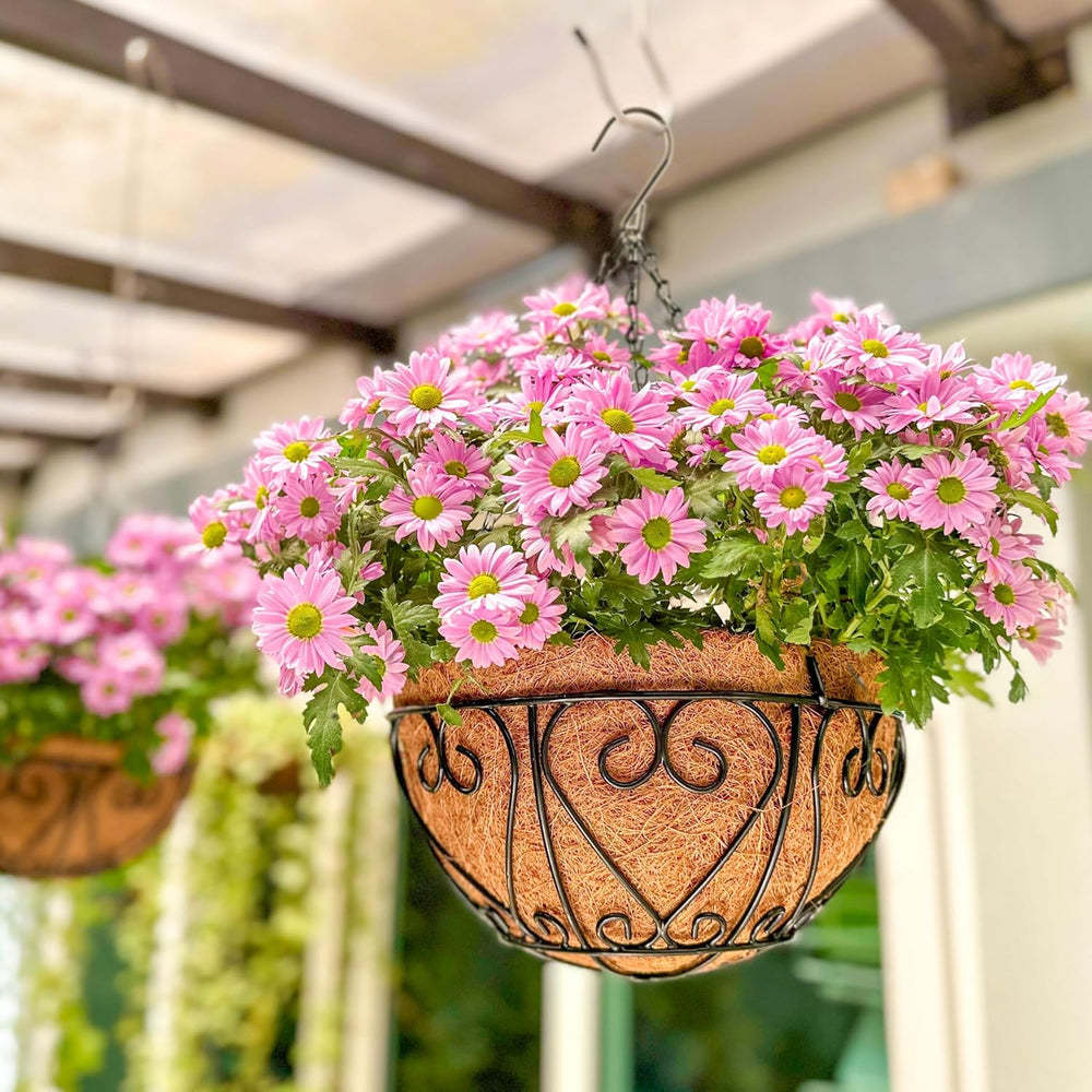 LaLaGreen 14" (8 Pack, Round) Coco Liners for Hanging Basket – Medium Co...