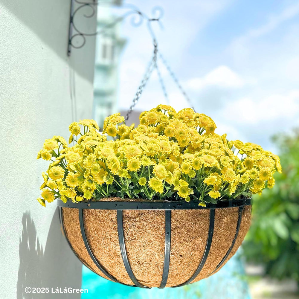 LaLaGreen 20" (4 Pack, Round) Coco Liners for Hanging Basket – Large Coi...