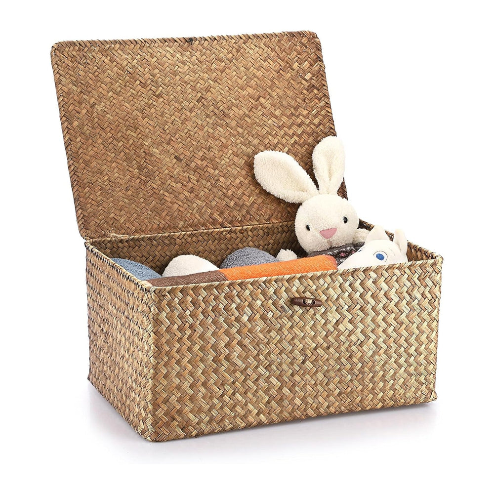 Hipiwe Wicker Shelf Baskets Bin with Lid Woven Storage Box, Coffee X-Large