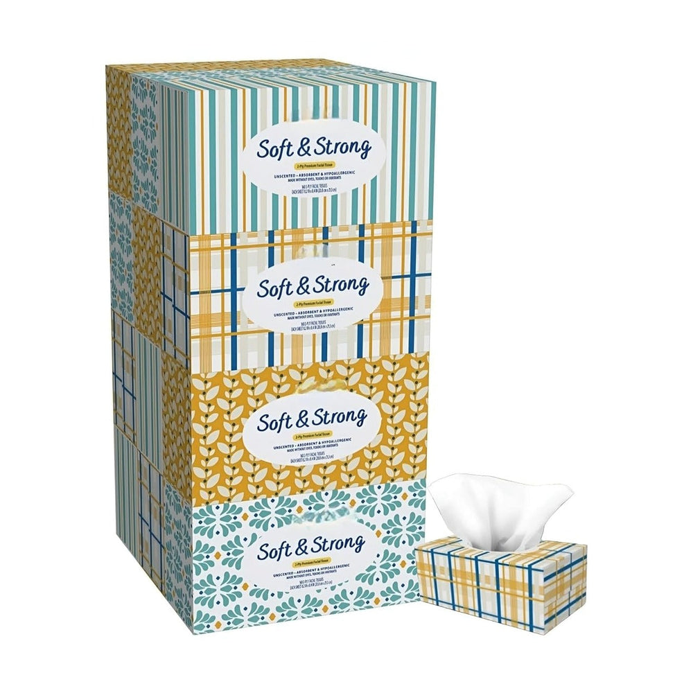Mark's Soft & Strong 2-Ply Premium Facial Tissues 12 Flat Boxes, 160 ...