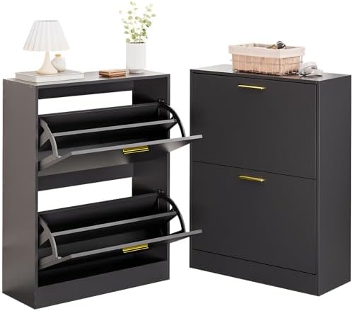 LYNSOM Modern Entryway Shoe Cabinet with 2 Flip Drawers and Top Display, Blac...