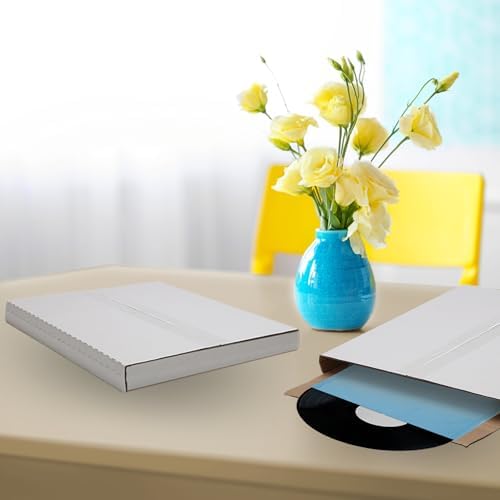 The Boxery 100 Pack – LP Strong Record Mailer Boxes | 12.5" x 12.5"...