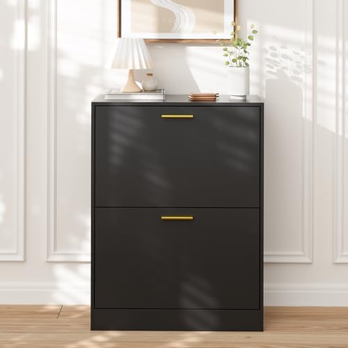 LYNSOM Modern Entryway Shoe Cabinet with 2 Flip Drawers and Top Display, Blac...