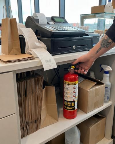 Ougist Home Fire Extinguisher, 2.5 lb ABC Dry Chemical 1-A:10-B:C, 2 Pack