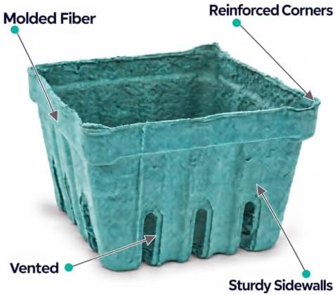 Pactiv 1 Quart Sized Garden Party Berigard Berry Basket Molded Fiber Green | ...