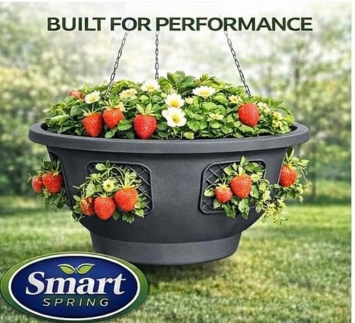 Ultimate Hanging Baskets - Strawberry, Tomato, Flower, and Herb Outdoor Plant...
