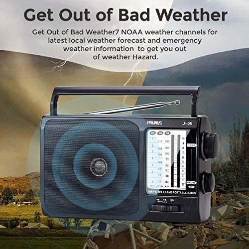 NOAA Weather AM FM Portable Radio, 3 D Batteries or AC Adapter Powered